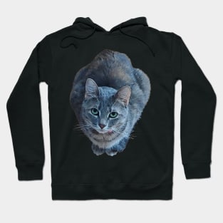 Jelly Bean - Pretty Cat Hoodie